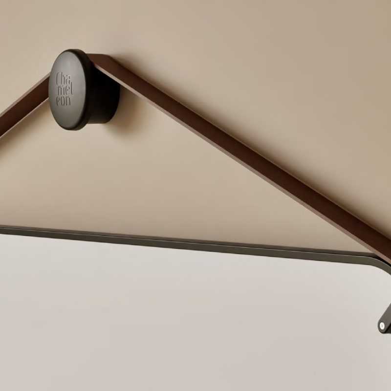 chameleon portable board