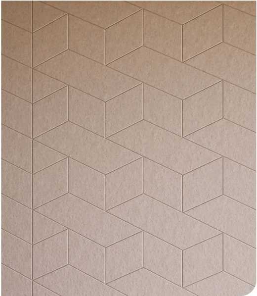 Chameleon-single-layer-2 Chameleon-single-layer-1
